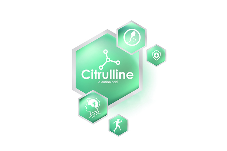 ال سیترولین L-citrulline